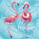 flamingo duo